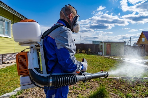 Дезинсекция ос 